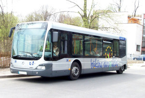 Bus-in-Vilnius-transport